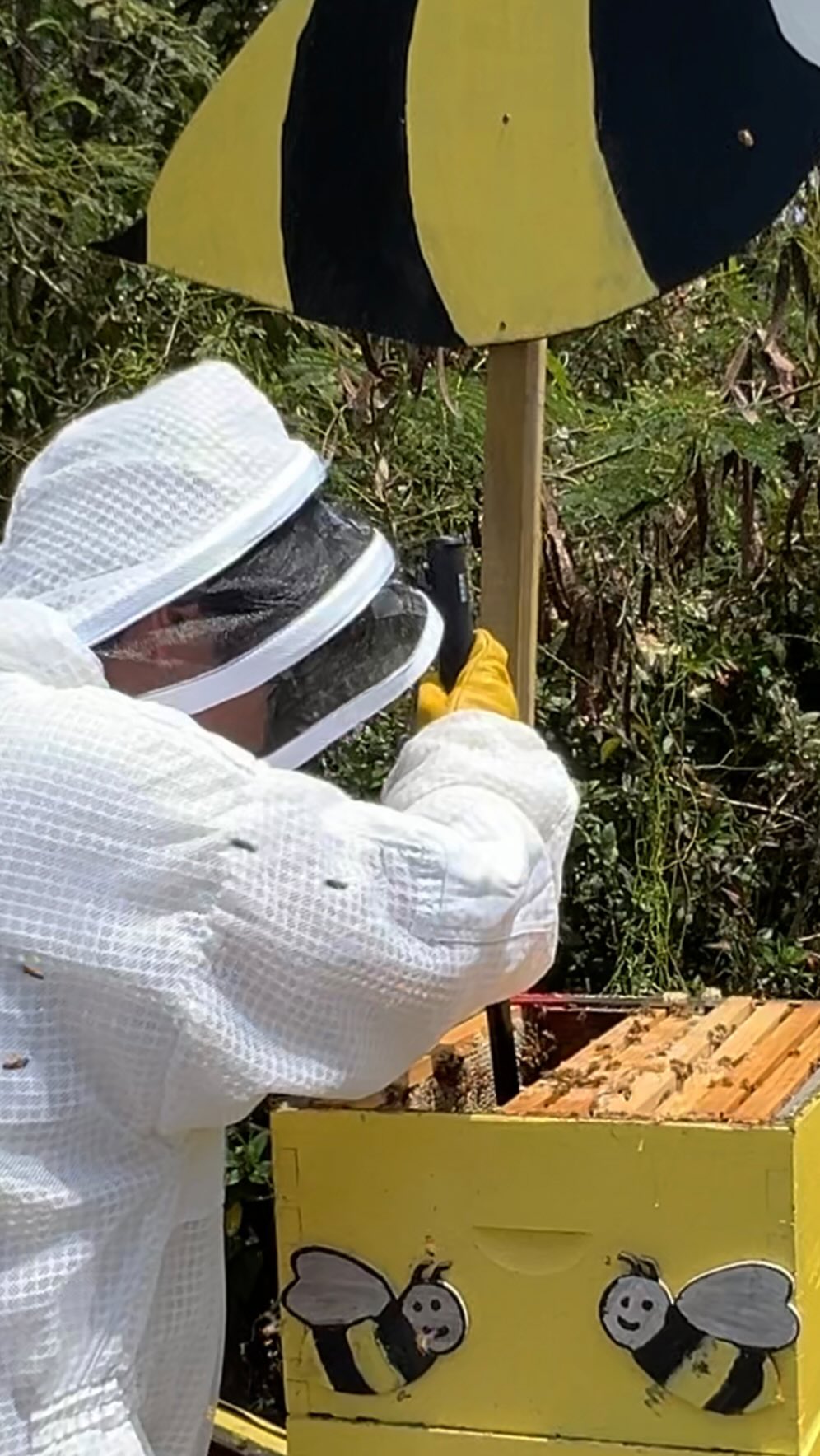 Our immersive #ArtLOVESFiji honeybee harvesting and chef’s table experience at the Intercontinental Fiji Resort educated our team about the importance of honeybees in our ecosystem along with sustainable beekeeping practices 🐝 

Following the experience the executive chefs at the hotel prepared an amazing 6 course gourmet food pairing all made with fresh honey that was a sweet treat 🍯 

To see the full project visit artlovesearth.com (link in bio)

#Fiji #sustainability #bees #honeybees #beekeeping #honey #tourism #ArtLOVESEarth