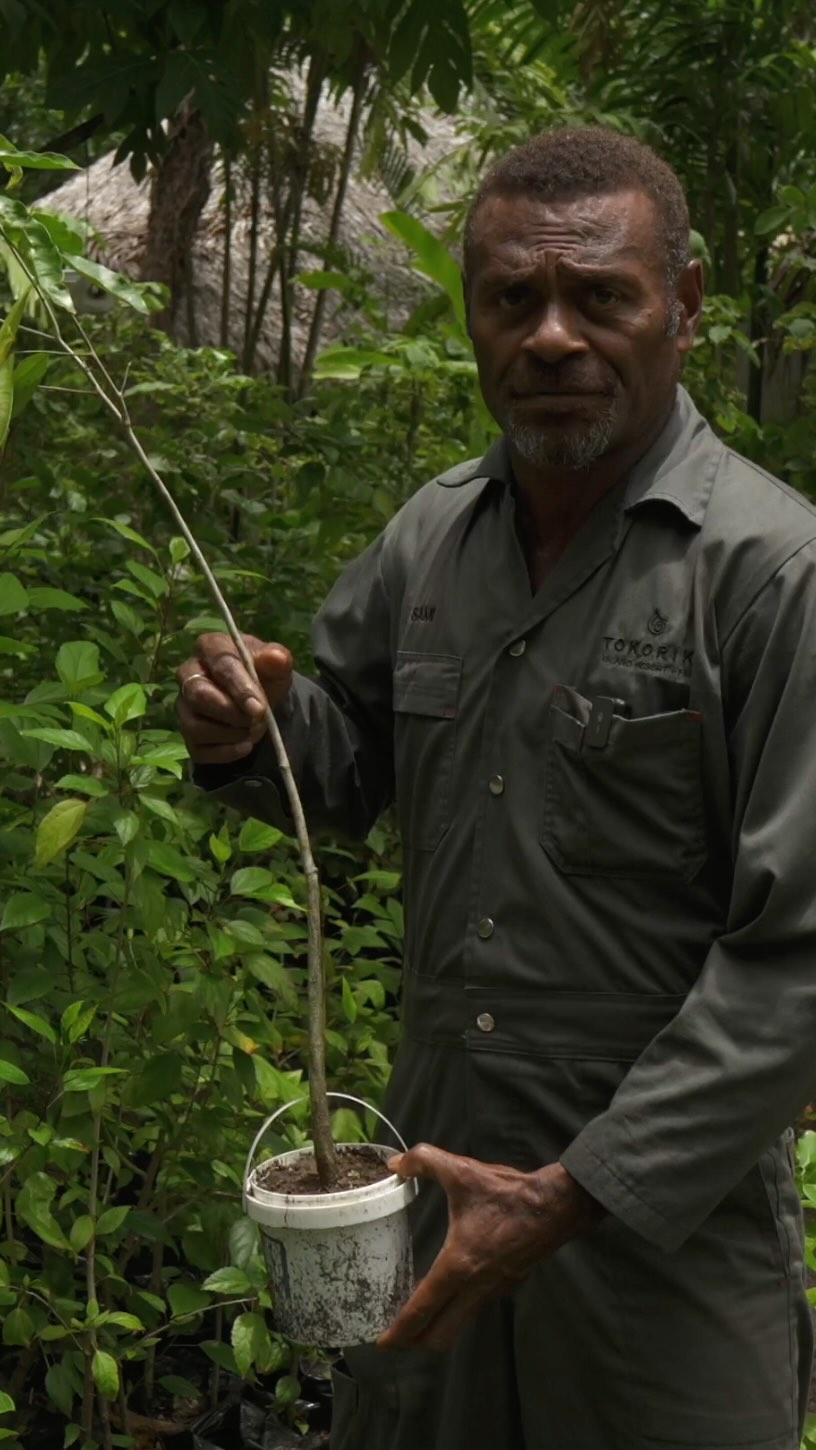 🌿🎥 Our 6th film from our #ArtLOVESFiji expedition showcases the Food Forest Project, an inspiring reforestation initiative led by @tokoriki_island_resort. 

This project is all about sustainable food planting in Fiji’s villages and schools—teaching kids and local communities how to grow fruit, vegetables, and income-producing plants. 🌱🍍

Beyond providing healthy food options, this initiative improves air quality and creates new income opportunities by allowing locals to sell surplus harvests back to the resorts. A beautiful cycle of sustainability in action! ♻️💚

To see the full project visit artlovesearth.com (link in bio) 

#Sustainable #Fiji #FoodForest #EcoLiving #Reforestation #GreenFuture #ArtLOVESEarth