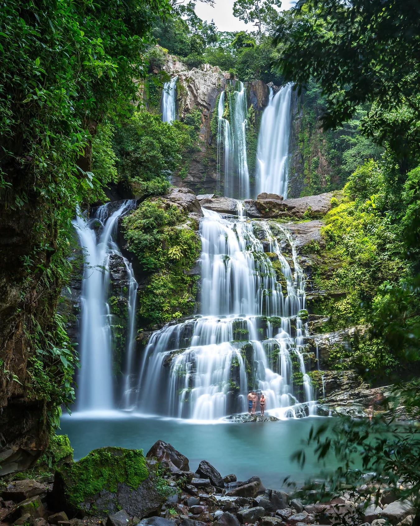 We are thrilled to announce our next @artlovesearth project will take place in one of the most biodiverse places on earth - Costa Rica! 

Dates and details will be announced soon :)

If you are interested in getting involved and supporting a future production please visit our website. Link in bio.