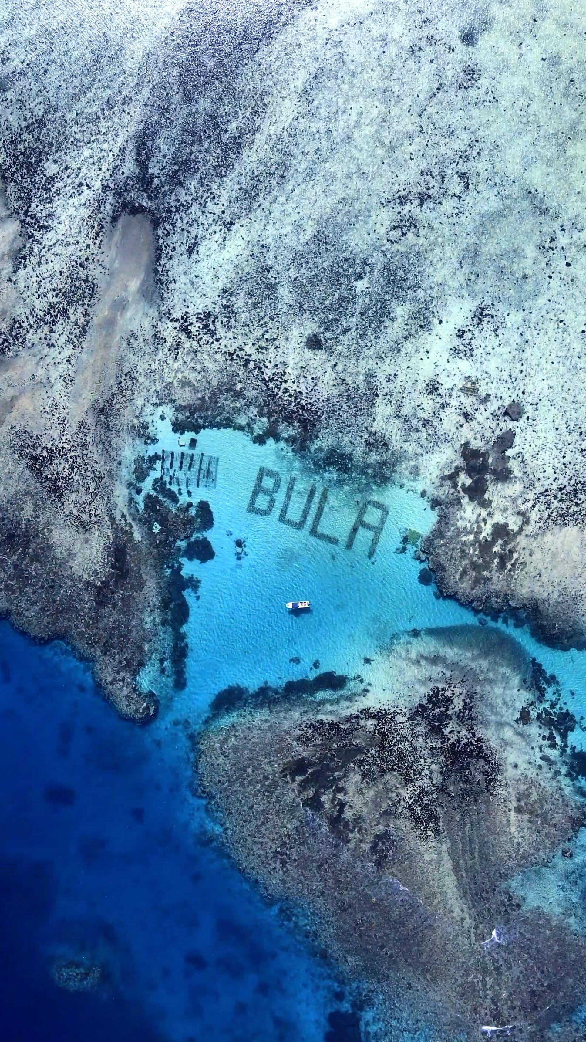 Our fifth film from #ArtLOVESFiji highlights our coral planting project with @corals4conservation at the worlds first UN-backed coral sanctuary project “Reefs of Hope” which spells“Bula” the largest word ever written underwater visible from space. 

For more information visit artlovesearth.com (link in bio)

#fijiislands #coralreef #coral #ocean #conservation #ArtLOVESEarth