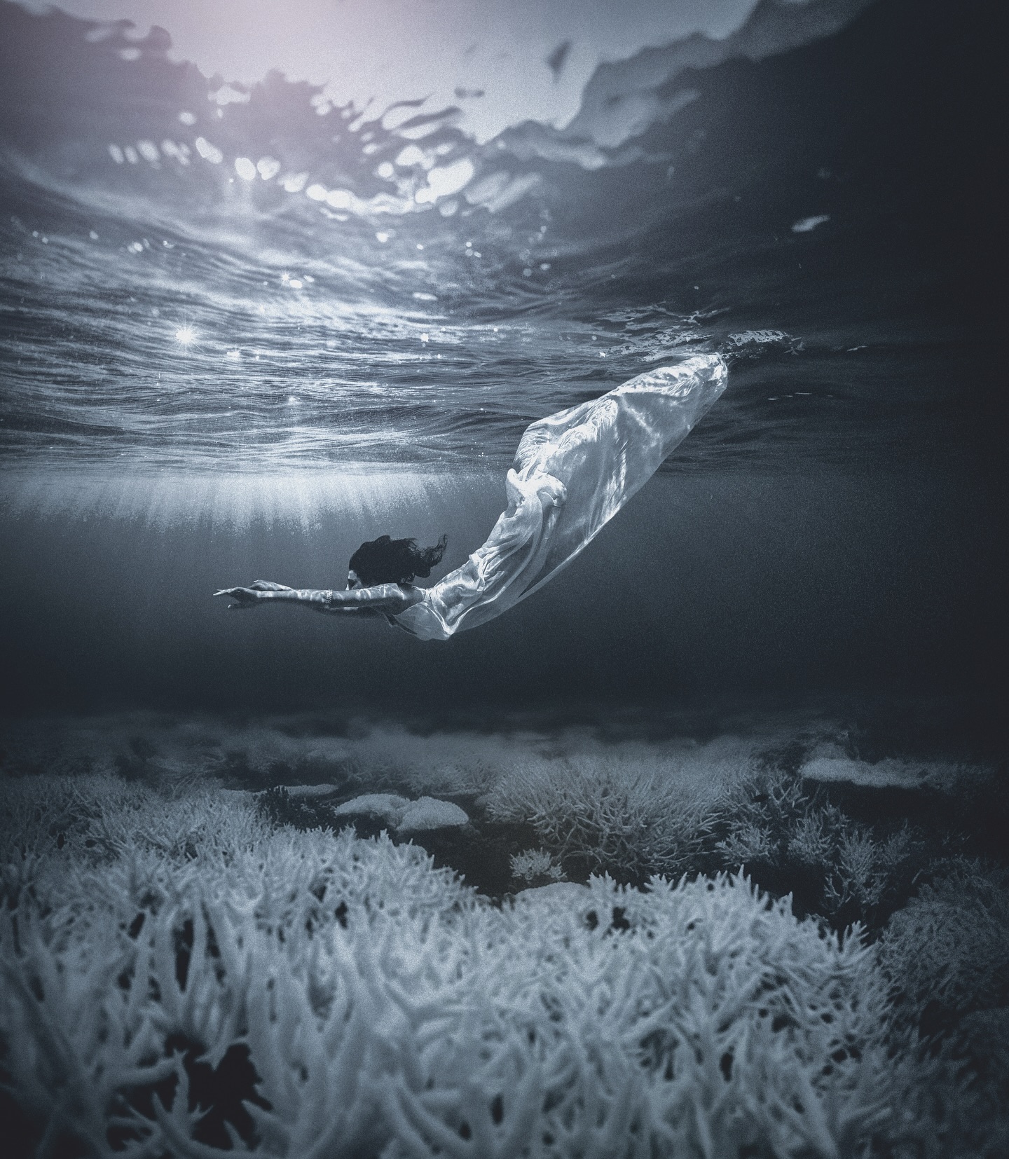 As part of our #ArtLOVESFiji campaign, @artlovesearth produced an underwater campaign to raise awareness about coral bleaching called “Ghosts of the Reef”

Featuring Miss SuperModel Fiji, @alishaidana, styled by New York fashion designer @kimmesches and photographed by @ryanhattaway, the piece shines light on a pressing issue facing many coral reefs around the world. 

Prints are available for purchase with 100% of proceeds benefiting @corals4conservation and “Reefs of Hope”. For inquiries please send us a DM or visit artlovesearth.com 

Special thanks @reefsafari 

#coralreefs #coralbleaching #ghosts #ocean #conservation #beauty #fashionphotography #art