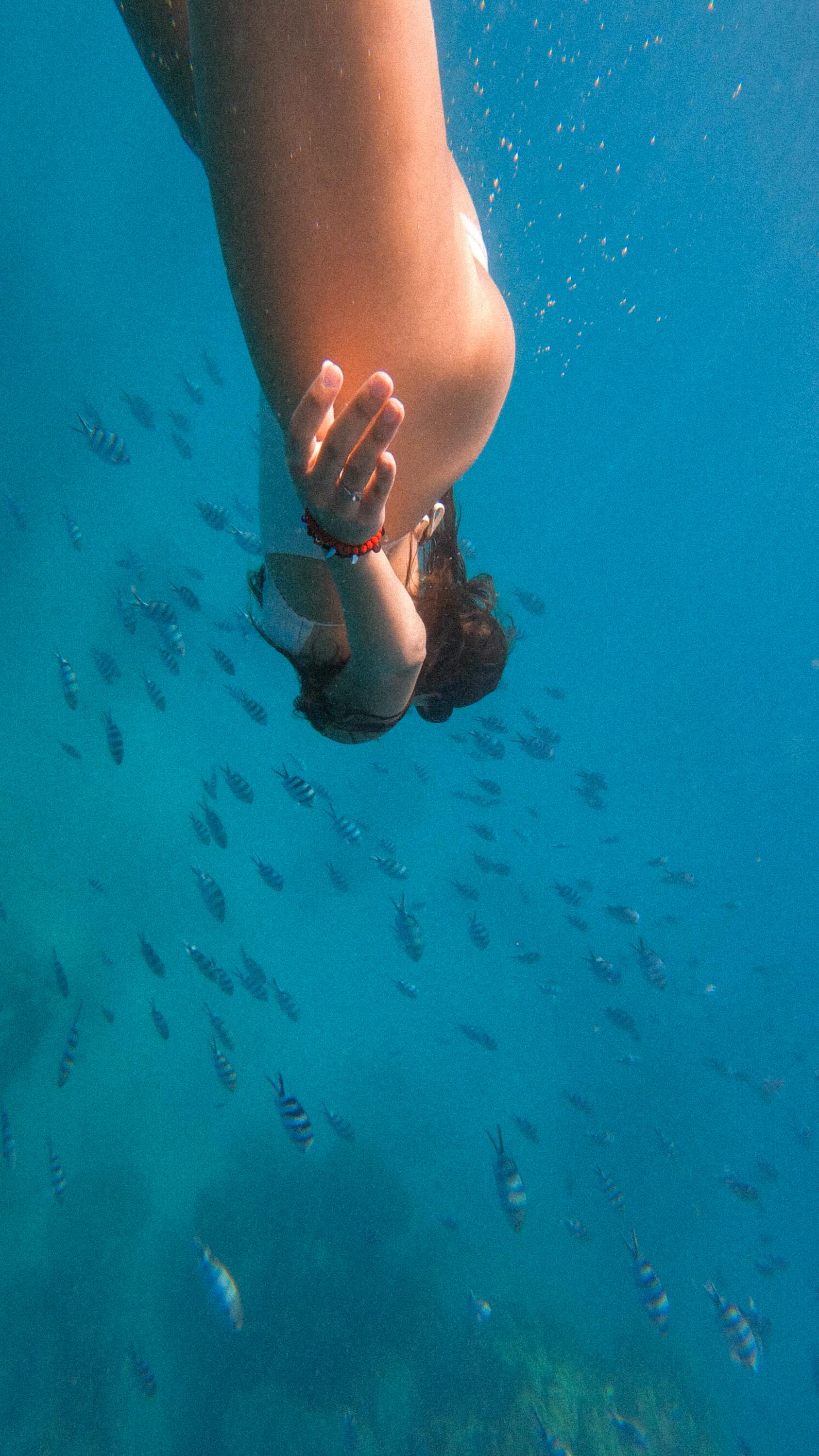 Happy Friday! Mentally we are still here… 🌴🌊

#fijiislands #ArtLOVESFiji #ArtLOVESEarth #ocean #travel